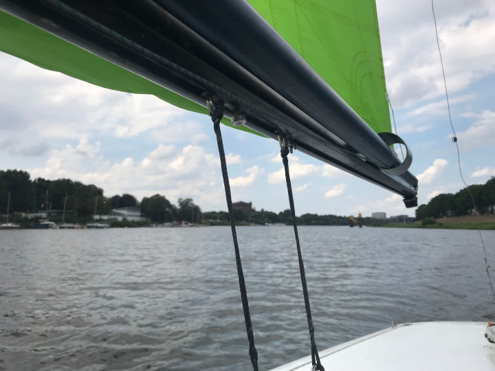 Dyas Baum auf der Weser in Bremen